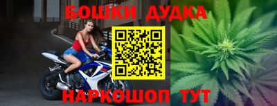 гашик Ливны