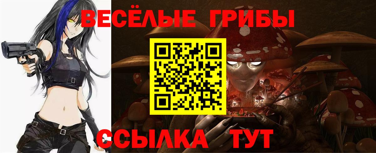 Камышин  Псилоцибиновые грибы GOLDEN TEACHER  Вход с VPN 